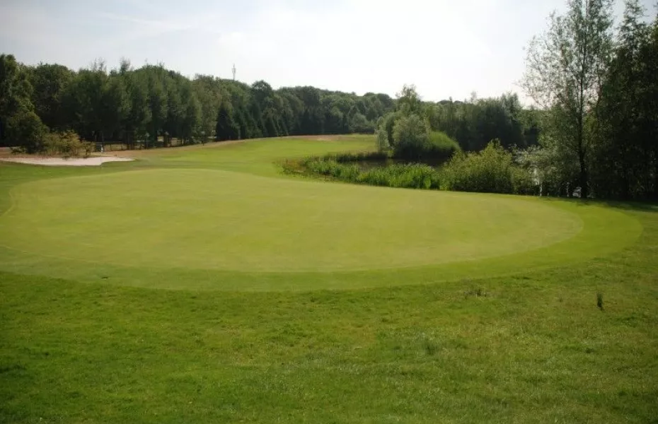 Welschap GC: #6