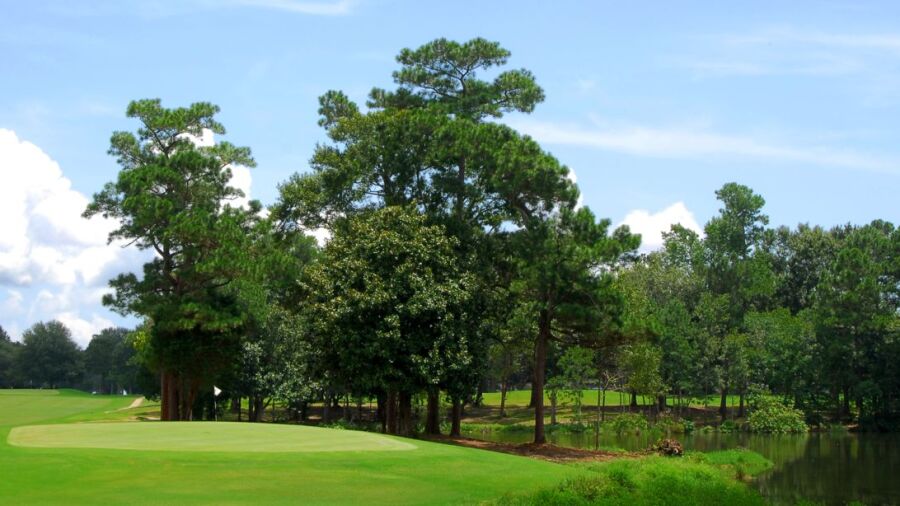 Hickory Hill CC: 7th green