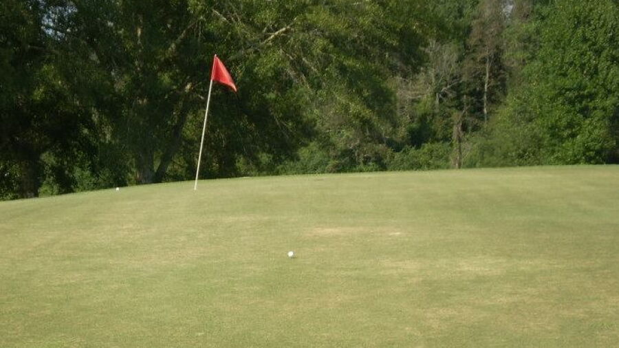 Simpson CC: #7