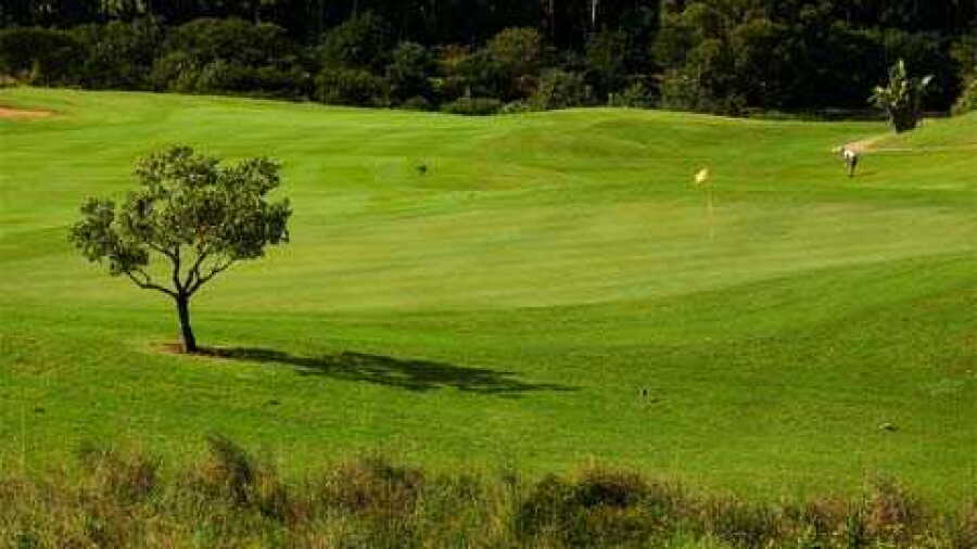 Zimbali CC: #8