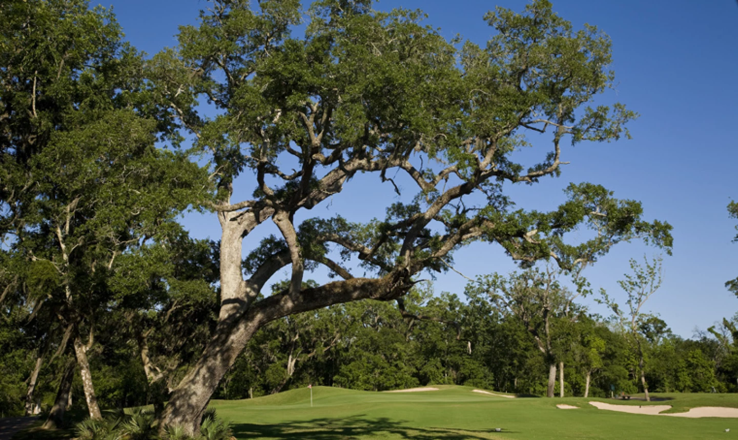 The Wilderness golf course - No. 3