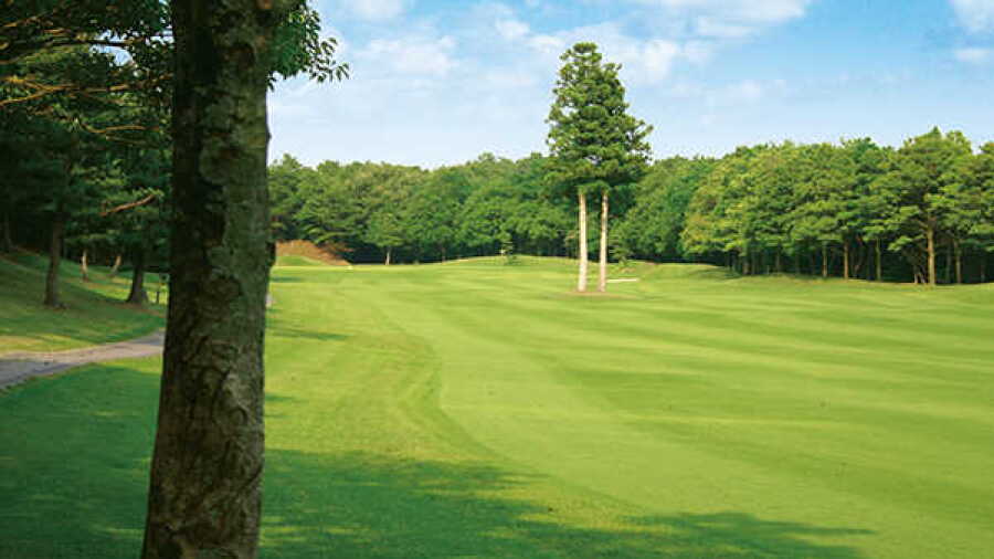 Rio Fujiwara CC