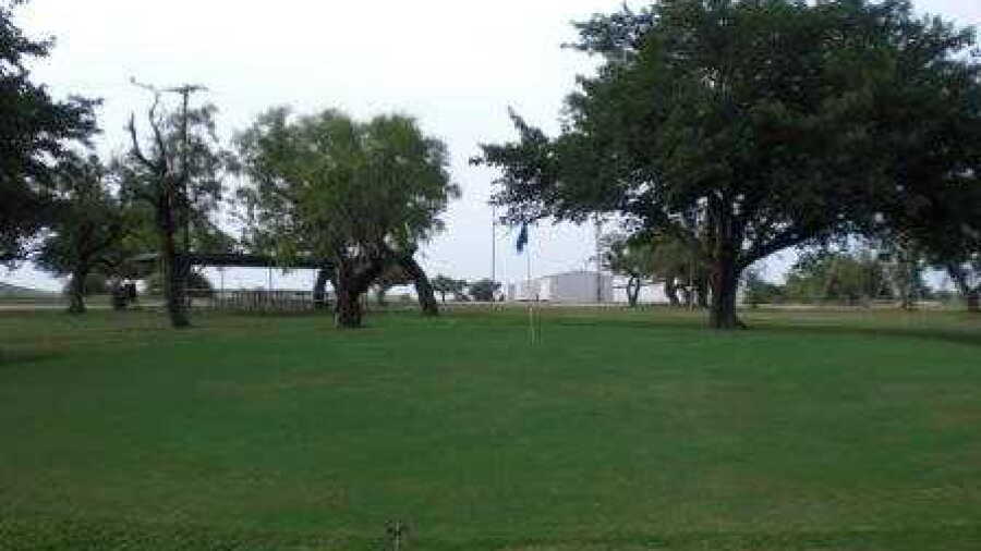 Coleman CC: #6