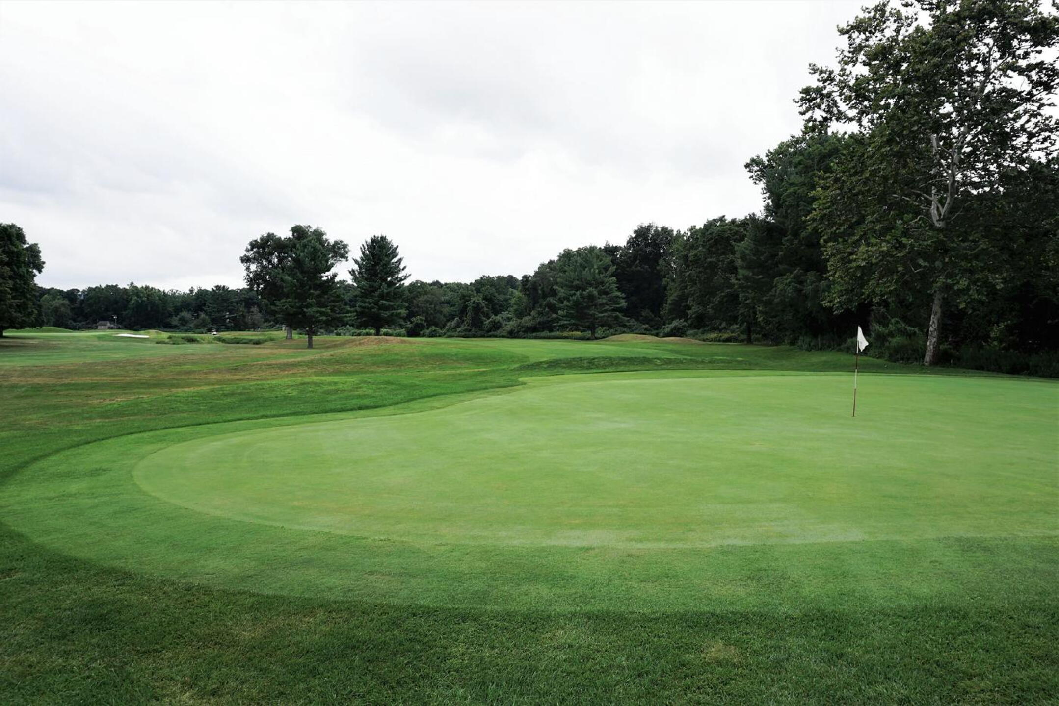 Second, from behind green. A view back to the fairway on this dogleg right, 383-yarder. (Photo submitted by AptlyLinked on 08/19/2021)