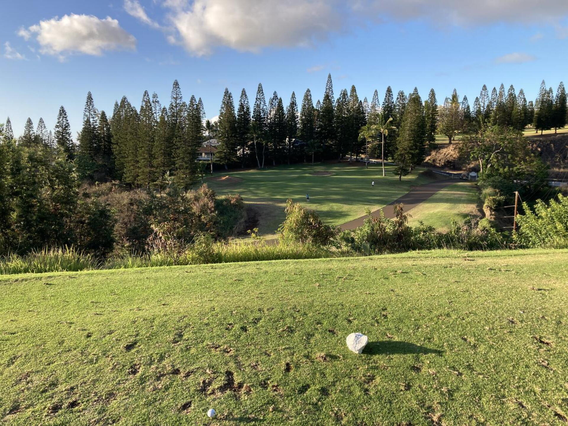 Pukalani Country Club Hole# 8 (Photo submitted by Hrabal2005 on 06/20/2022)