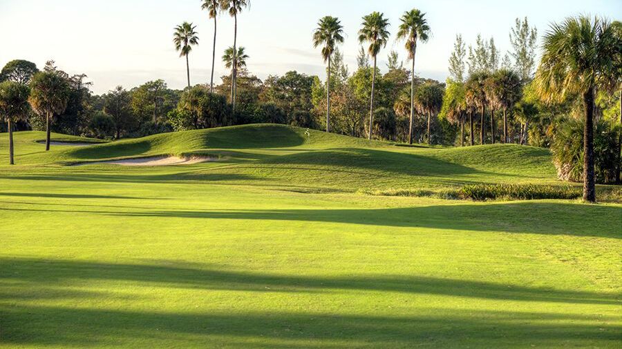 Osprey at Okeeheelee GC: #1