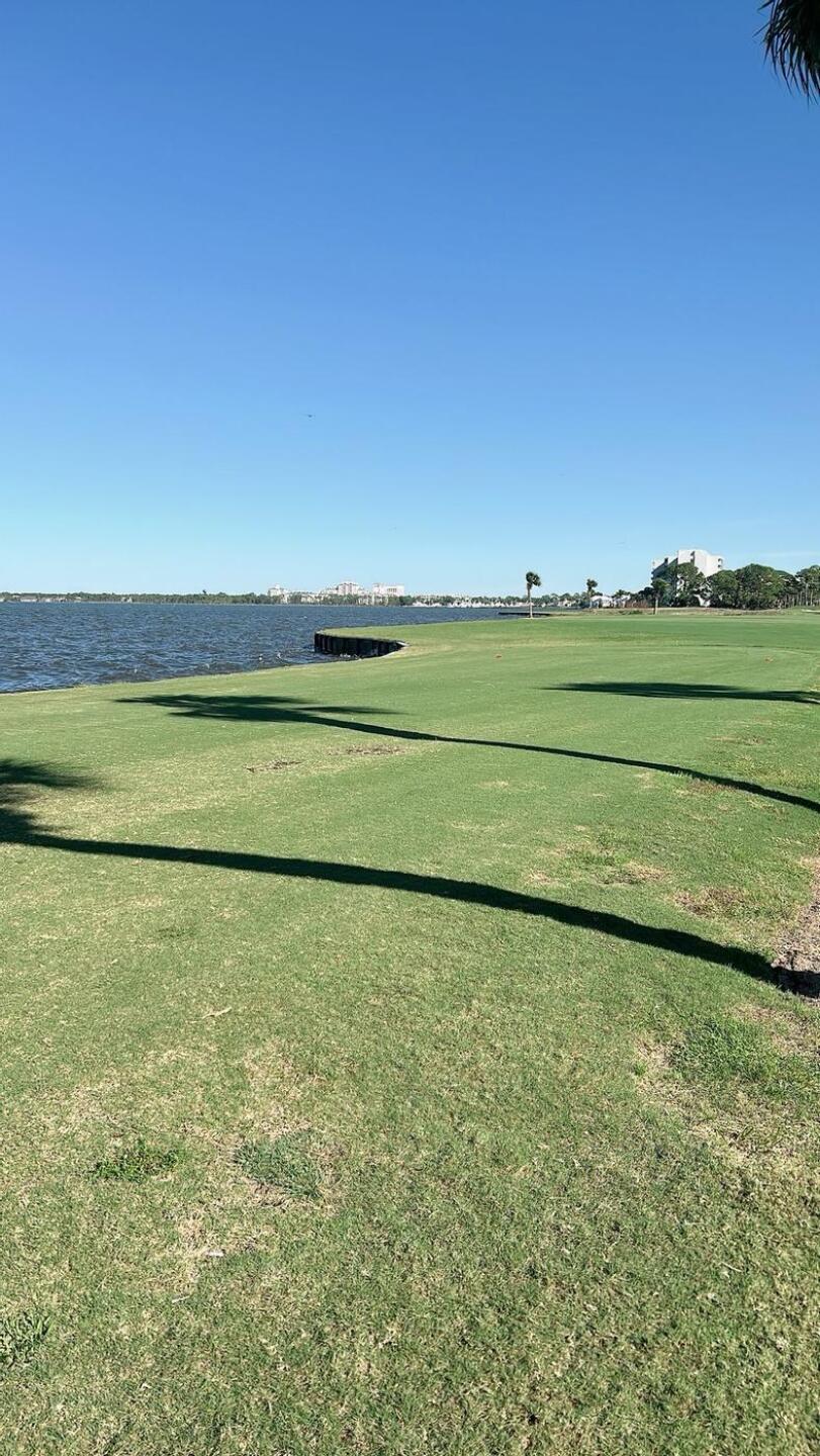 (Photo submitted by pqcXLGGZp2LN7ZgHlNIZ on 11/21/2024)