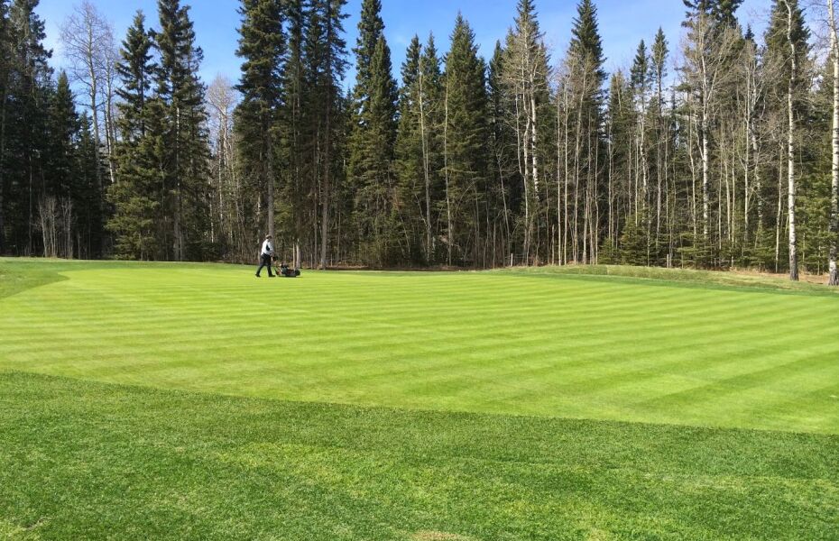 Priddis Greens Golf and Country Club Raven in Priddis, Alberta