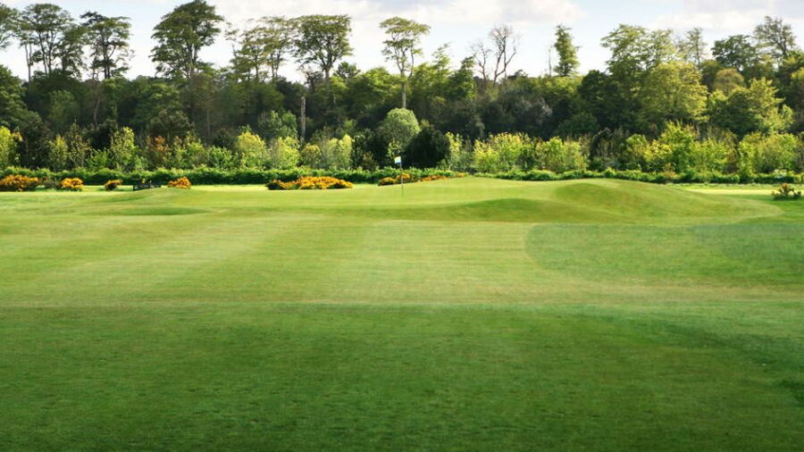 St. Andrews Links - Strathtyrum: #6