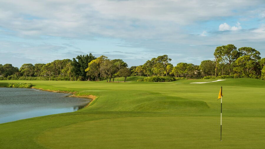 Pelican's Nest GC - Gator: #13