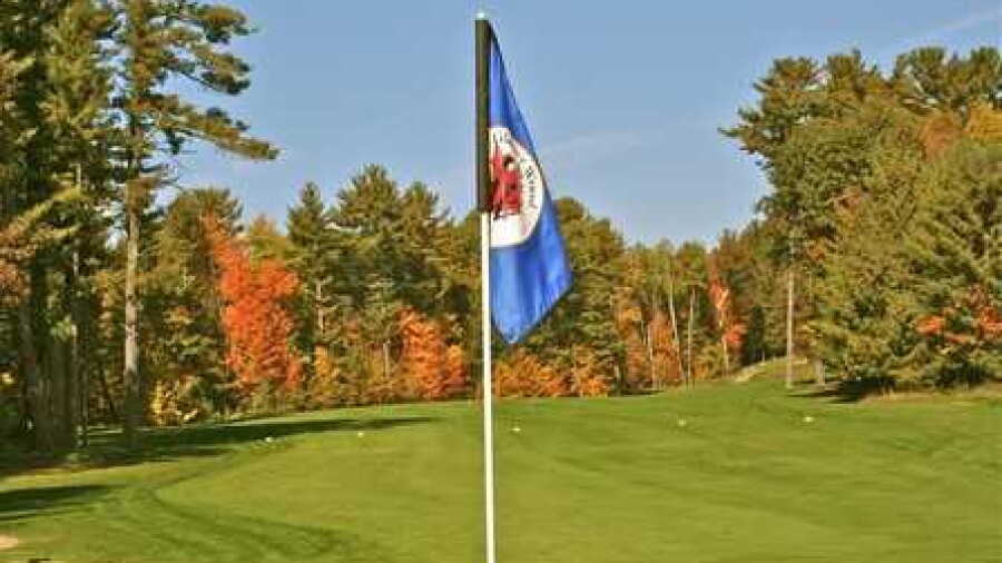 Glacier Wood GC: #13