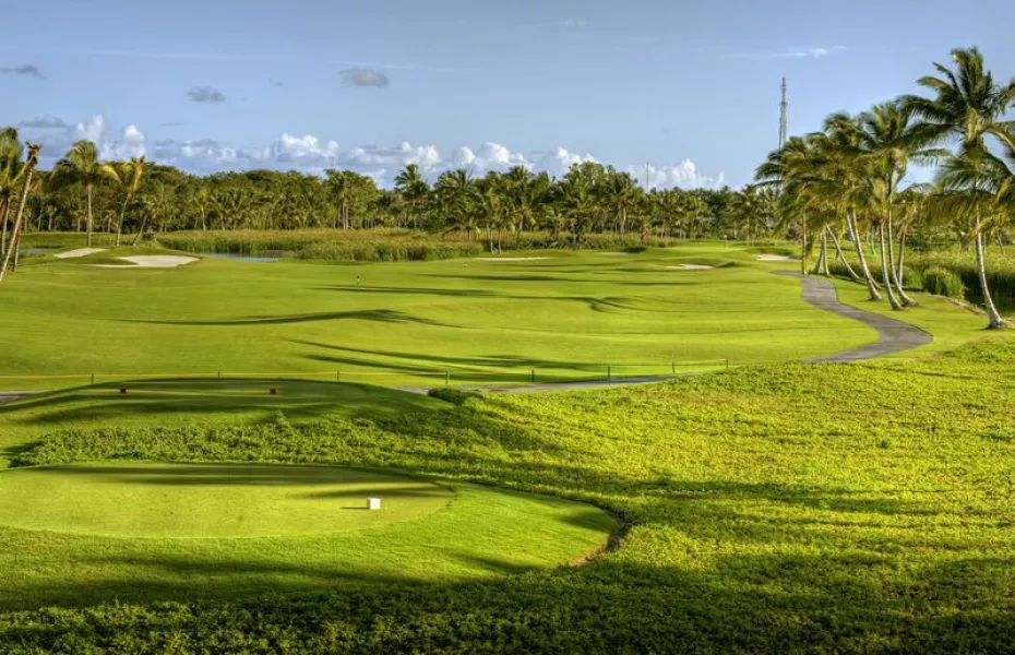 Lakes at Barcelo Bavaro GC: #6