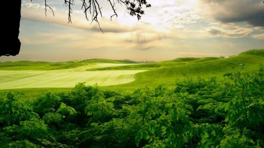 Sand Creek Station GC: #11