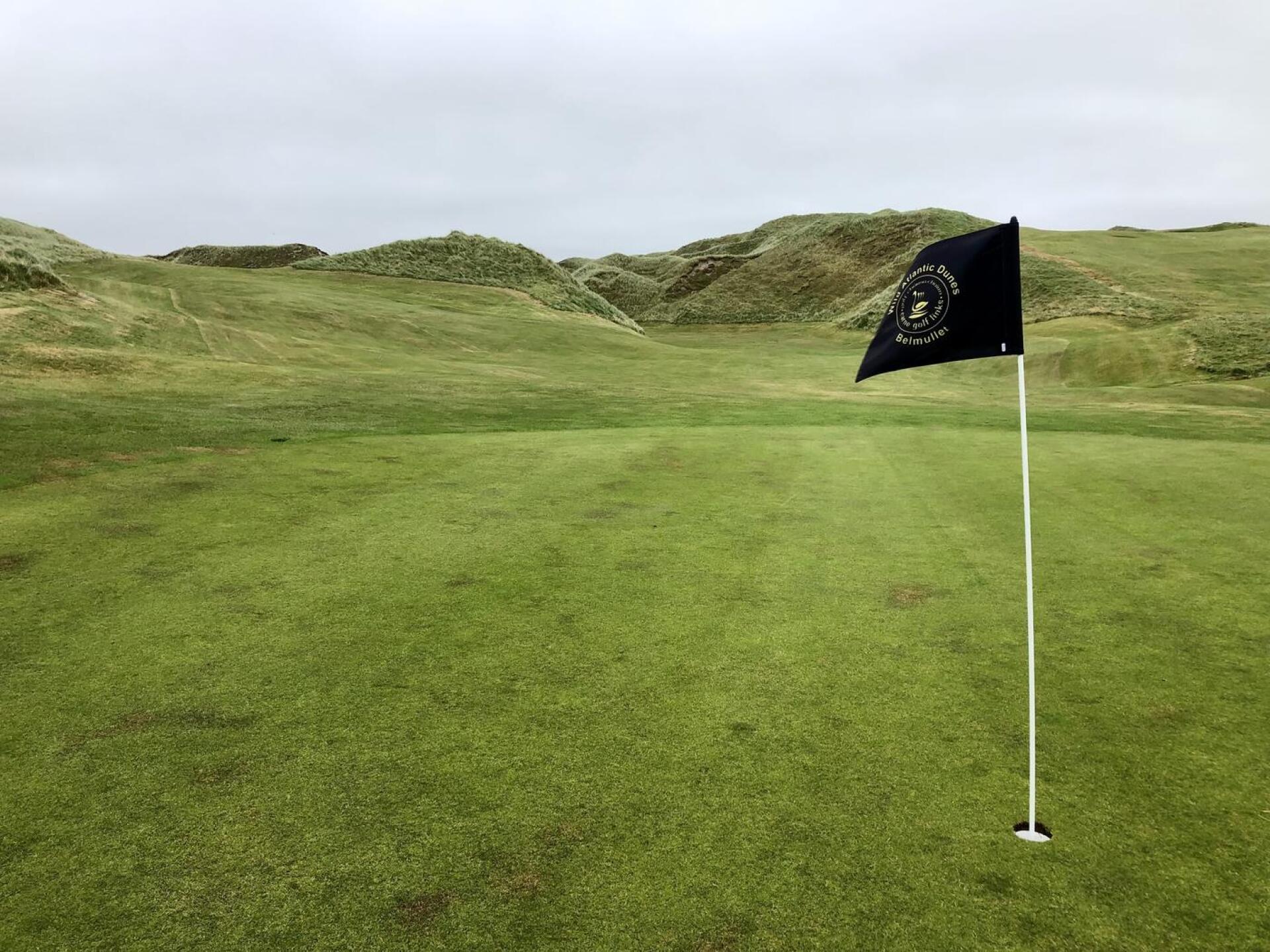 (Photo submitted by BrandonWebb on 08/01/2022)