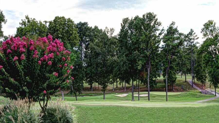 Dalton GCC: #10