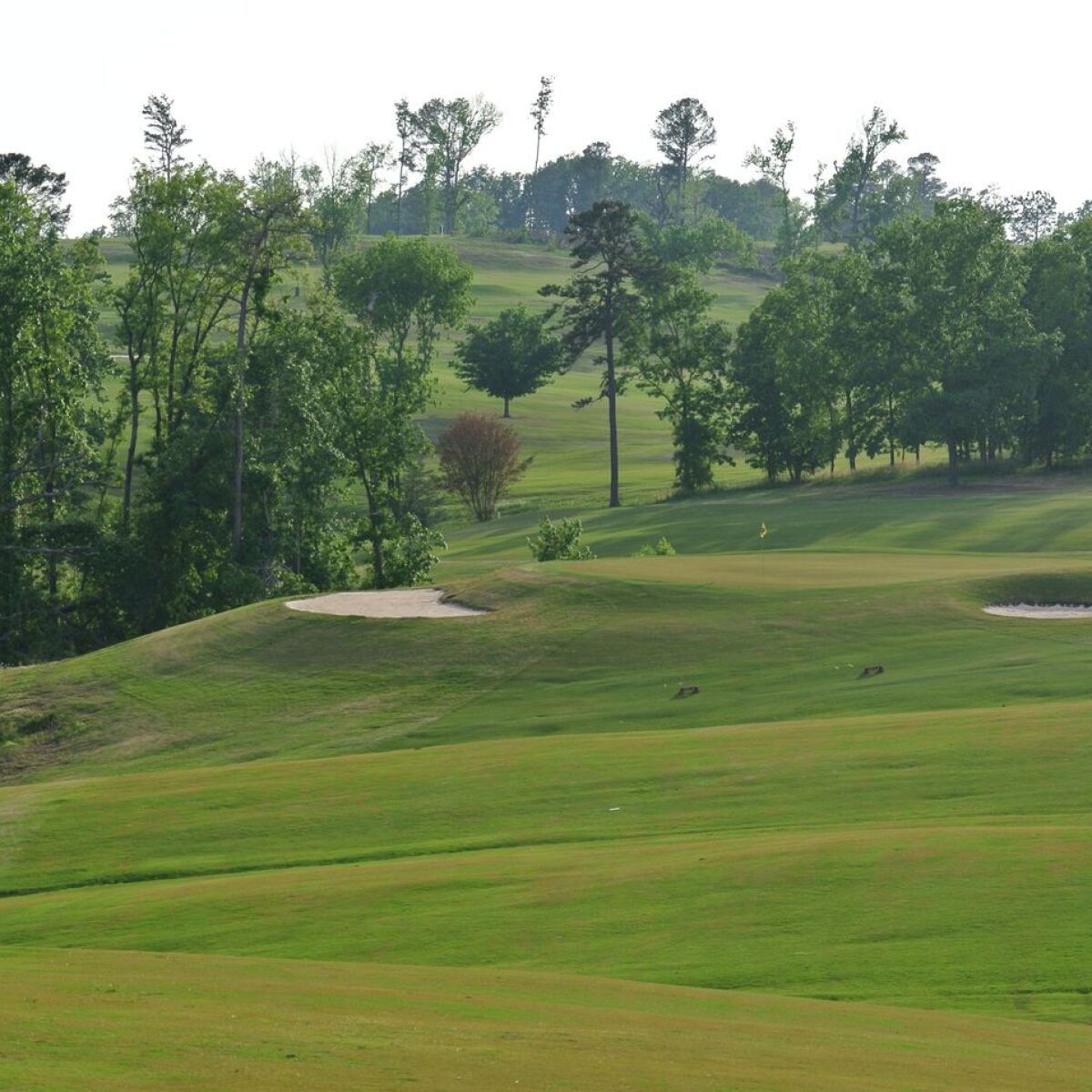 Eagle's Nest Golf Course at Lake Guntersville State Park in