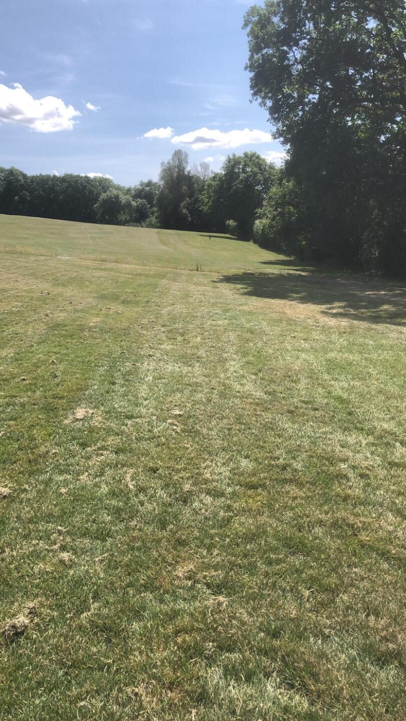 (Photo submitted by u314160166913 on 06/25/2023)
