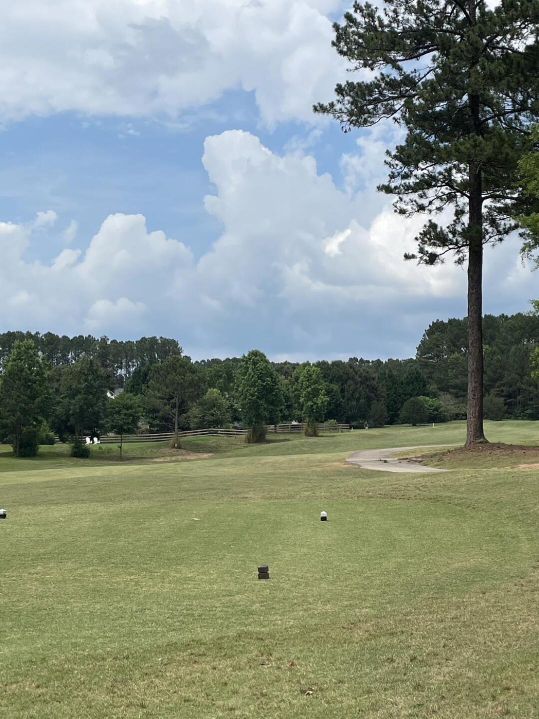 (Photo submitted by mwbrown69 on 06/05/2023)