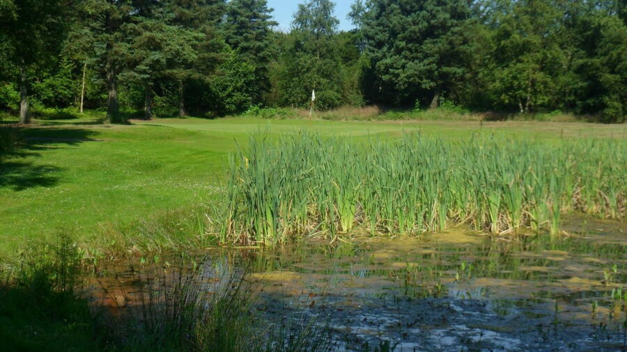 Hirtshals GC - 18 Hole: #18