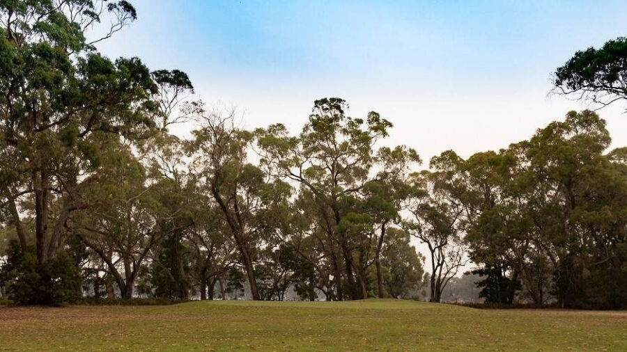 Penola GC