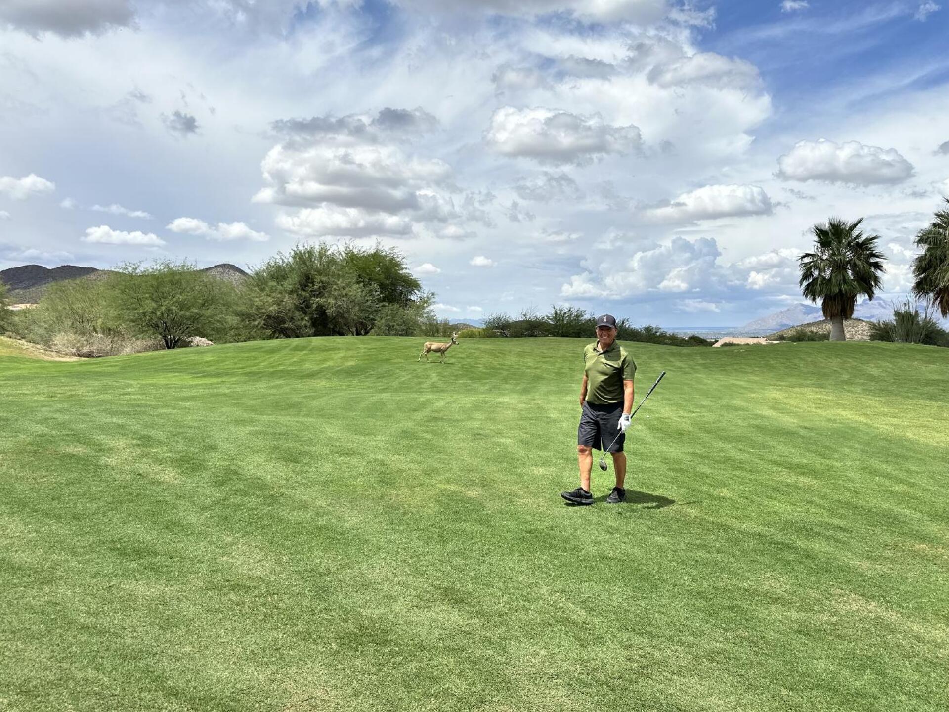 Deer on green (Photo submitted by baeza22ky on 07/18/2026)