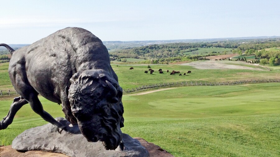 Tour Buffalo Ridge Springs at Big Cedar Lodge in Missouri - Buffalo