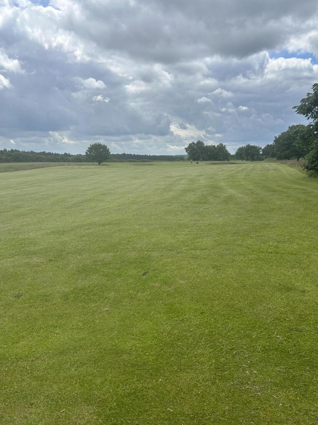 (Photo submitted by u314165065798 on 06/12/2024)