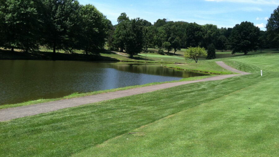 Godwin's Village Green