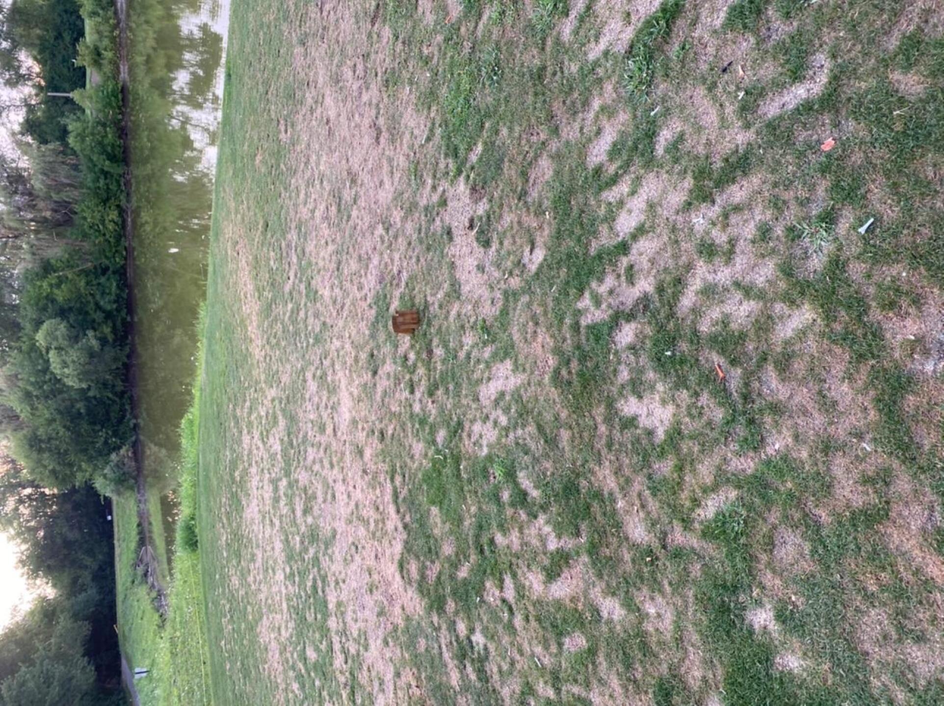 (Photo submitted by u000006729674 on 08/24/2020)