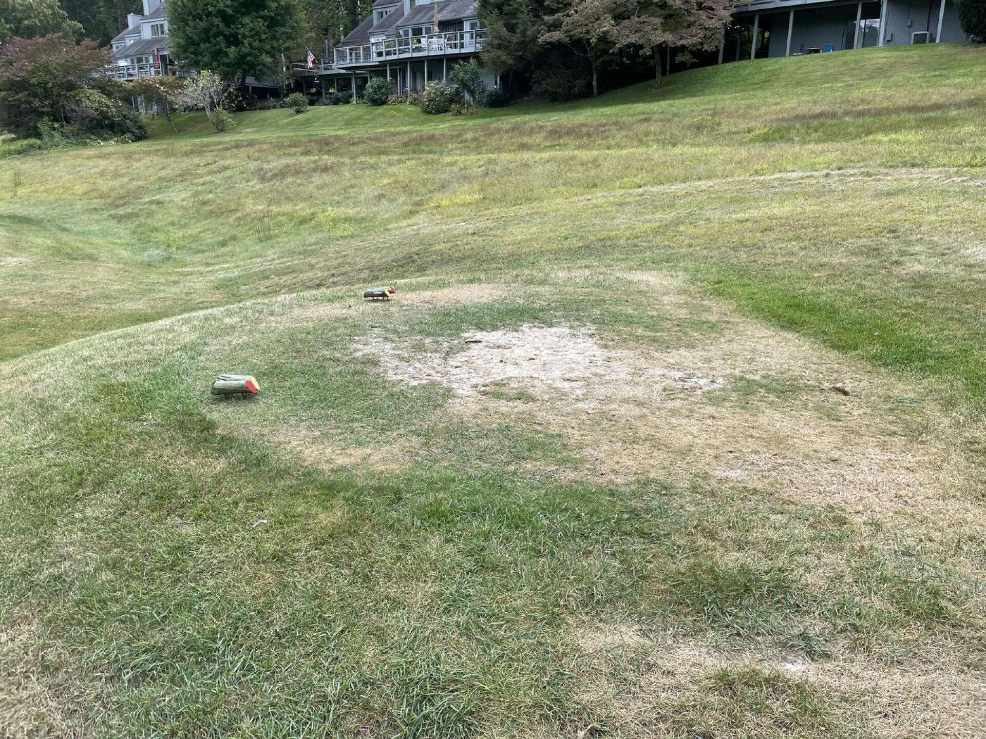 (Photo submitted by u583371555 on 09/17/2024)