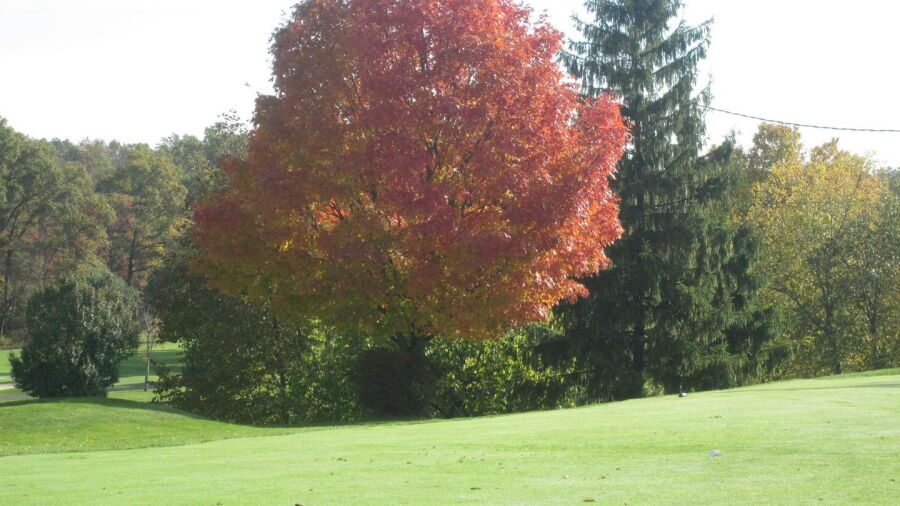 Basking Ridge CC