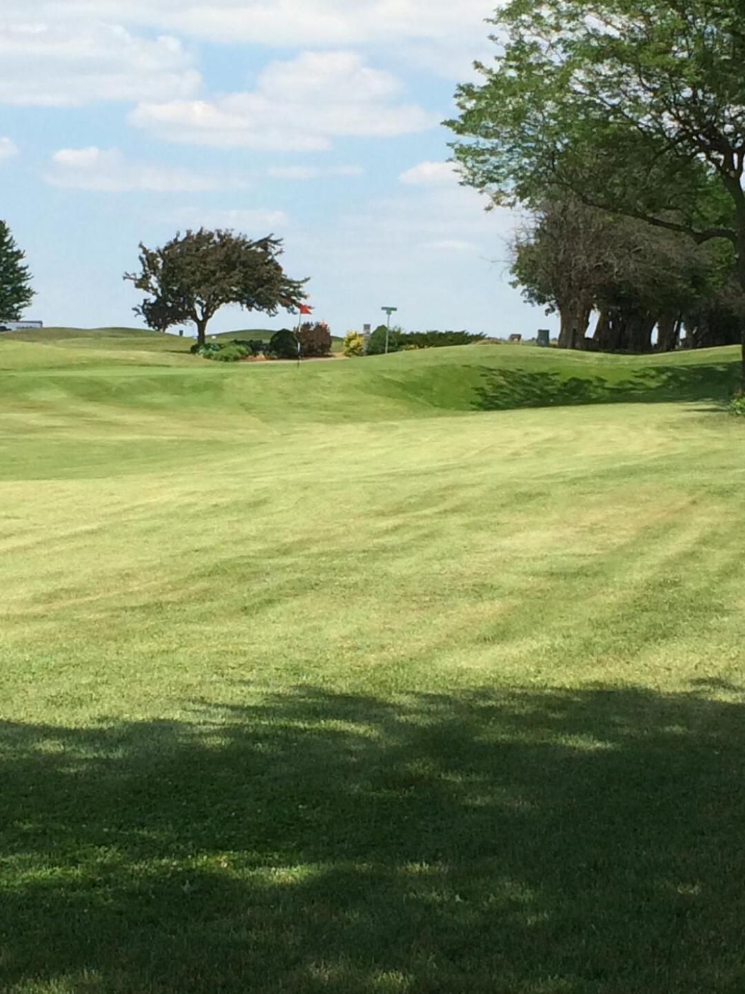 12th green from right rough (Photo submitted by HOTSPOTTS on 06/18/2020)
