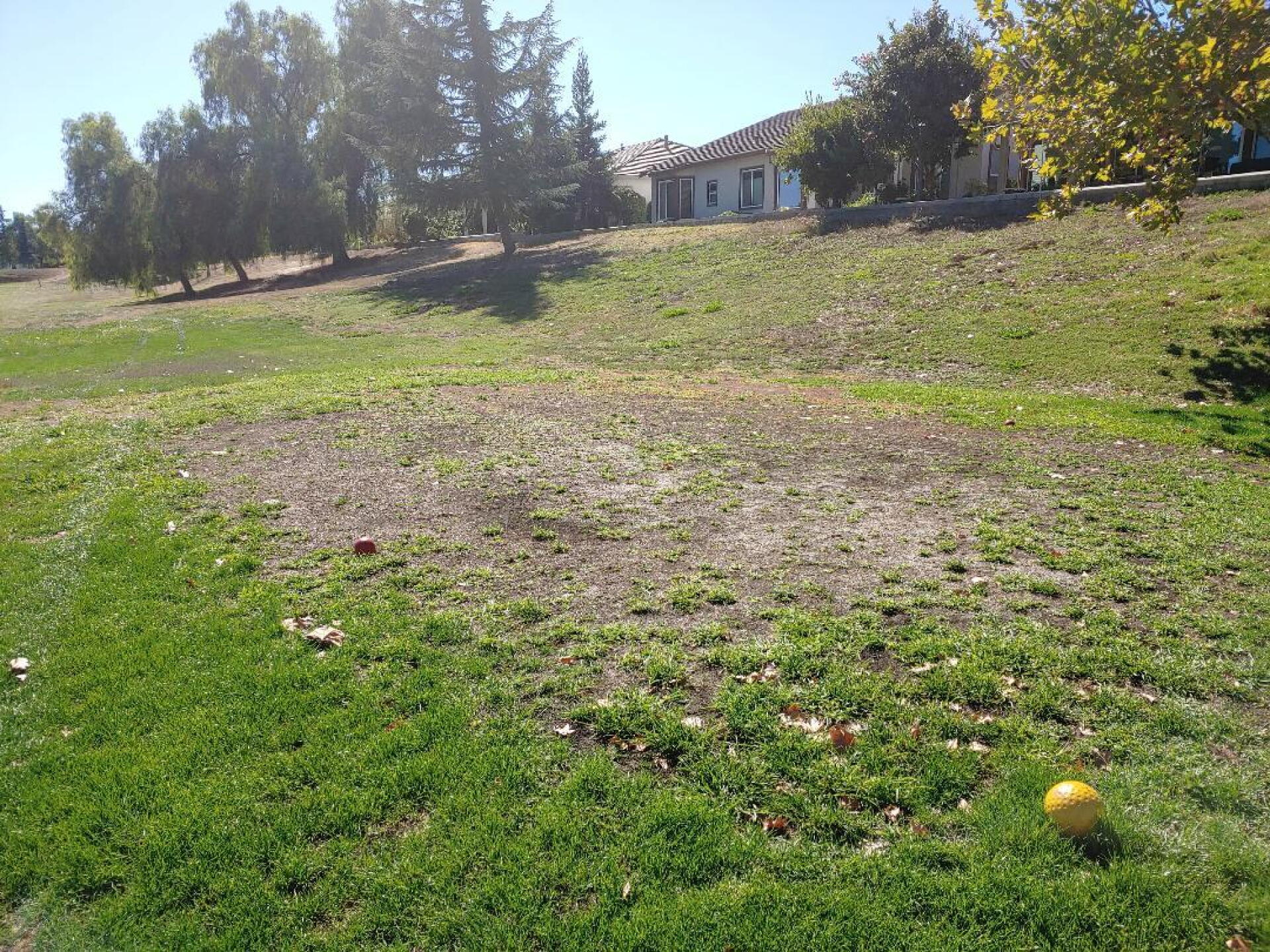 Tee Box (Photo submitted by kplovespizza on 10/06/2019)