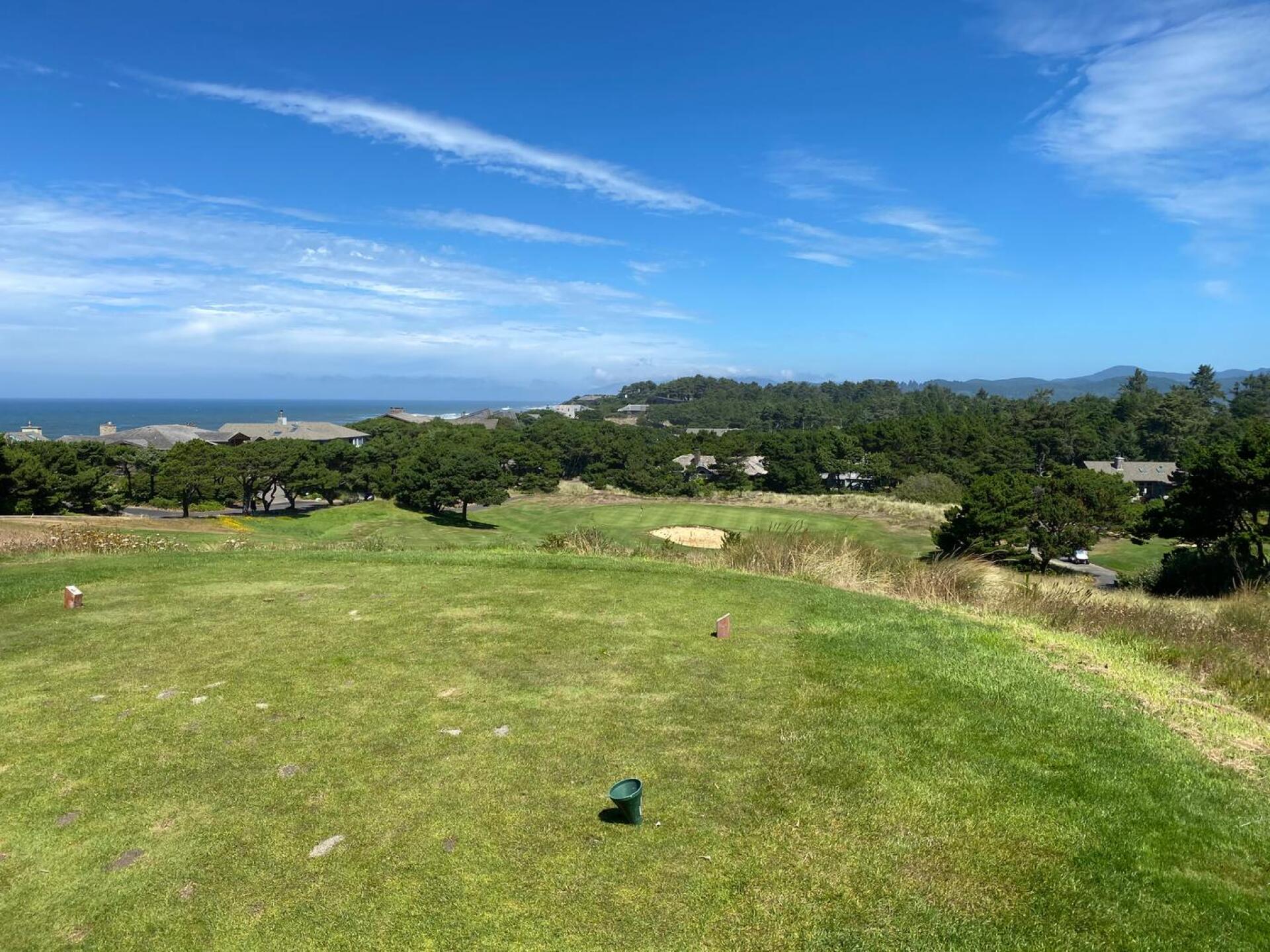 (Photo submitted by Cmeputt on 08/24/2020)