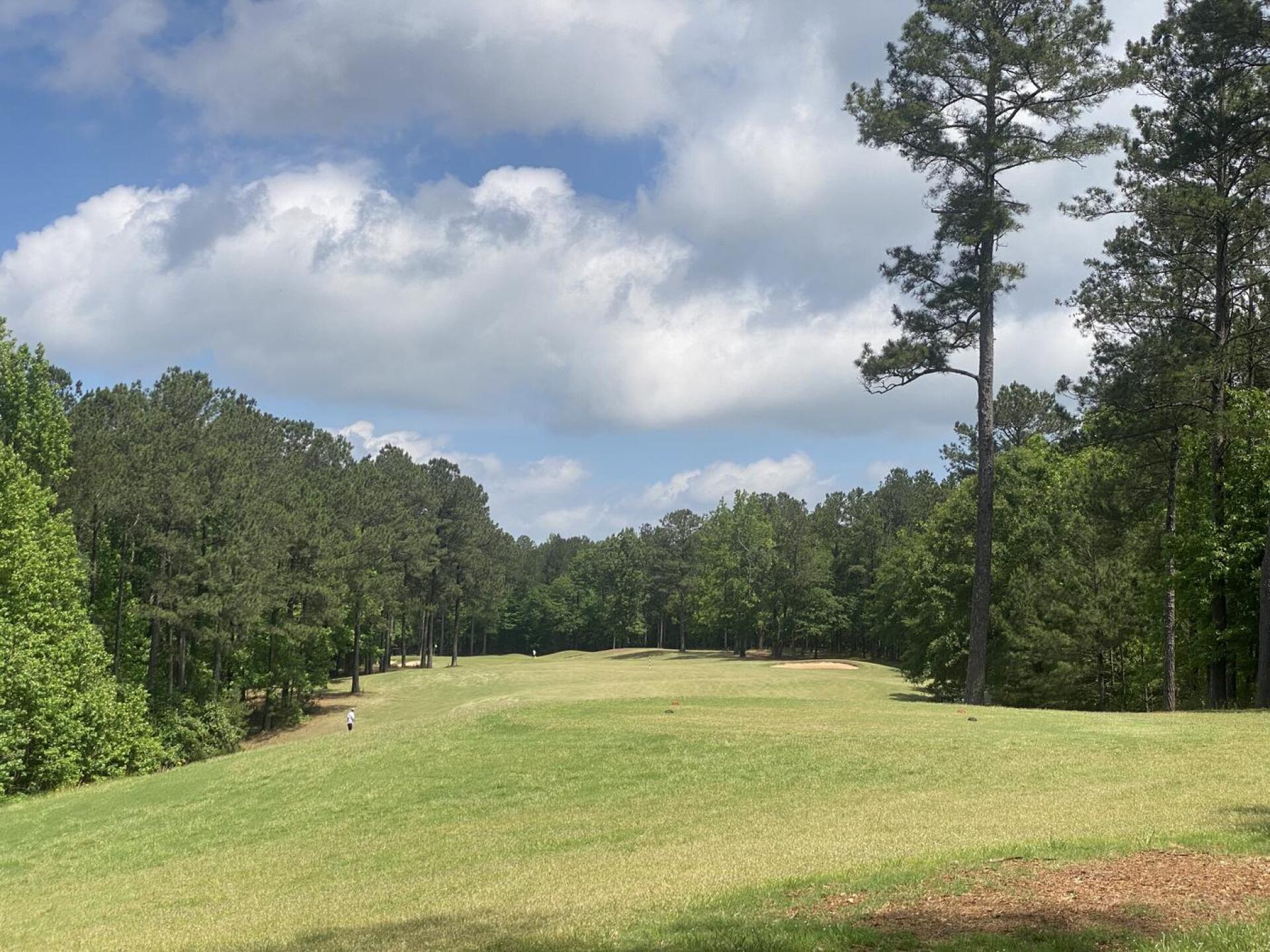 (Photo submitted by u642441522 on 05/08/2023)