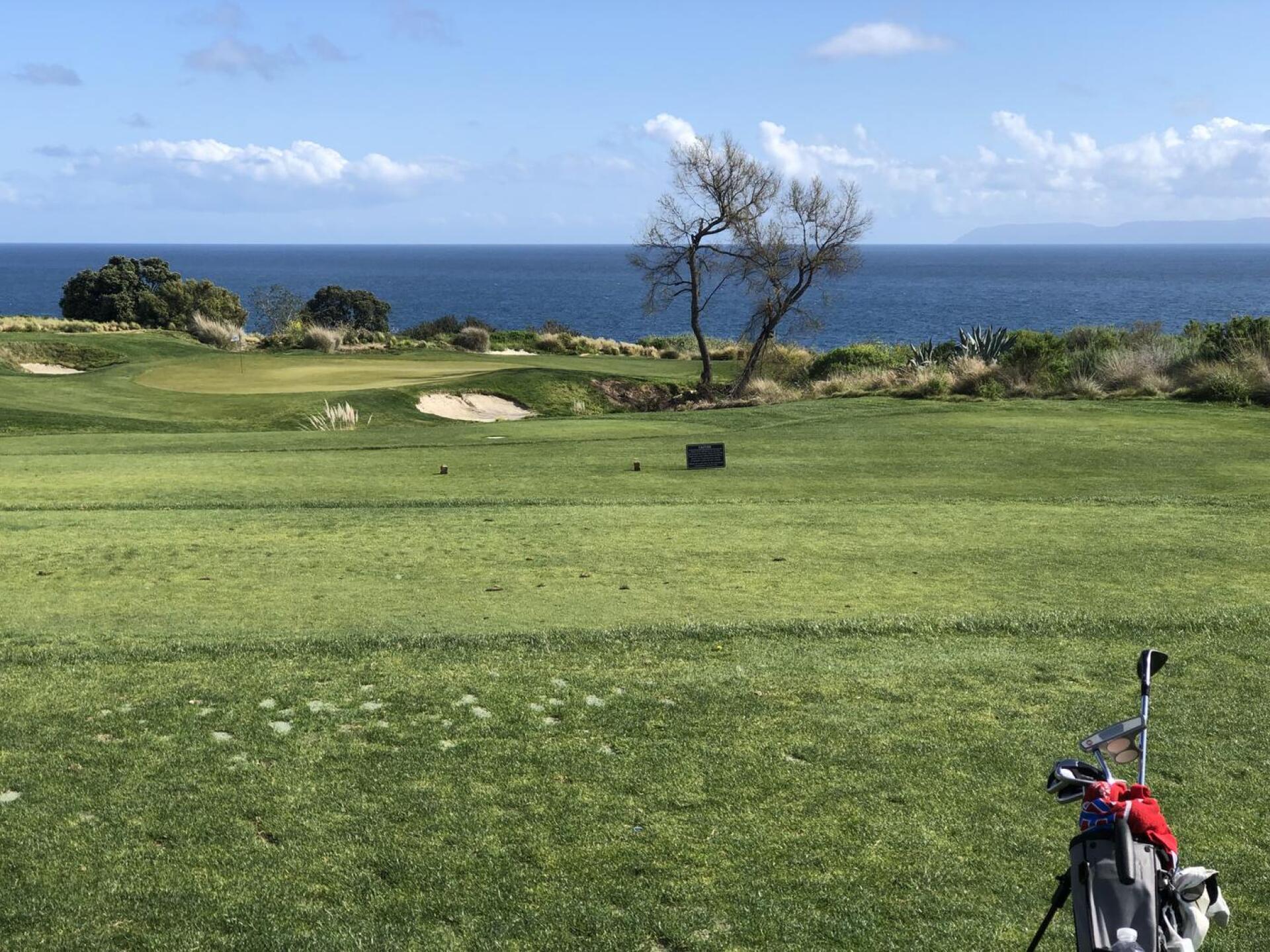 (Photo submitted by u00000215 on 03/30/2023)