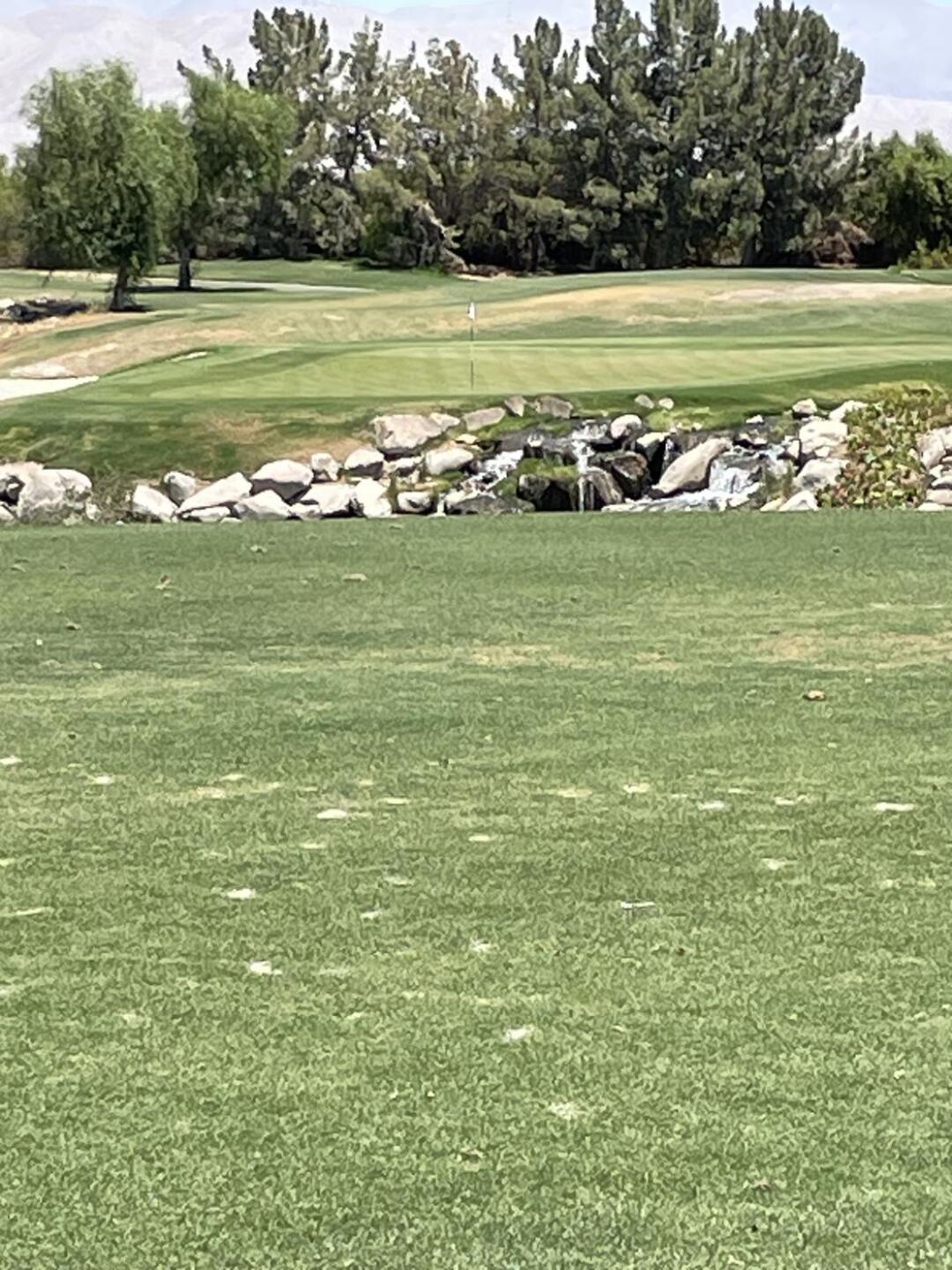 Better than it looks (Photo submitted by u000007430772 on 07/13/2023)