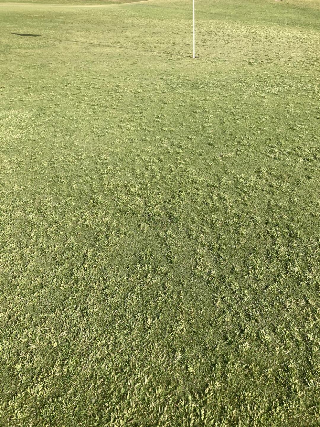 (Photo submitted by KyleMeschke on 04/24/2026)