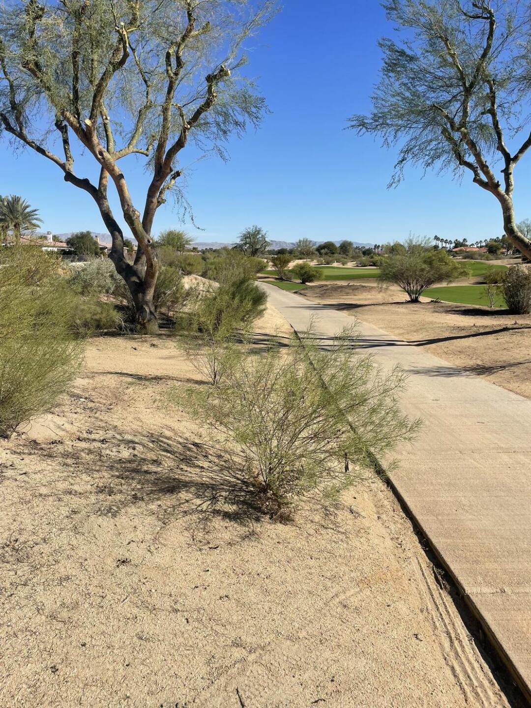 (Photo submitted by null on 12/18/2025)