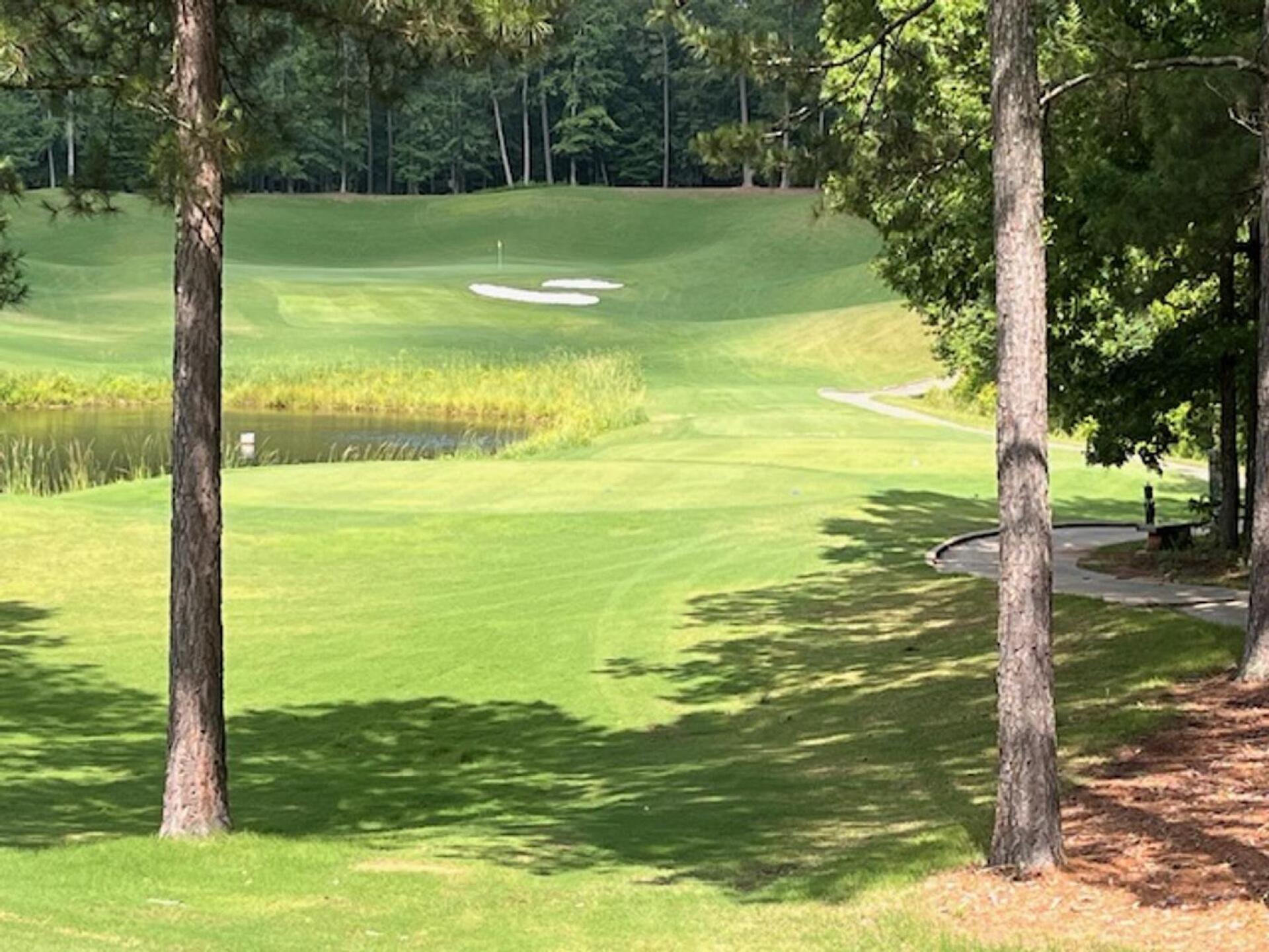 (Photo submitted by gwalsh on 06/20/2025)