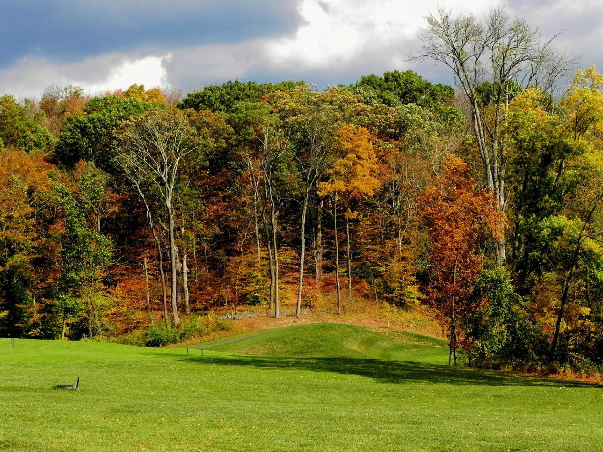 Fall photo (Photo submitted by sixeagles on 12/26/2019)