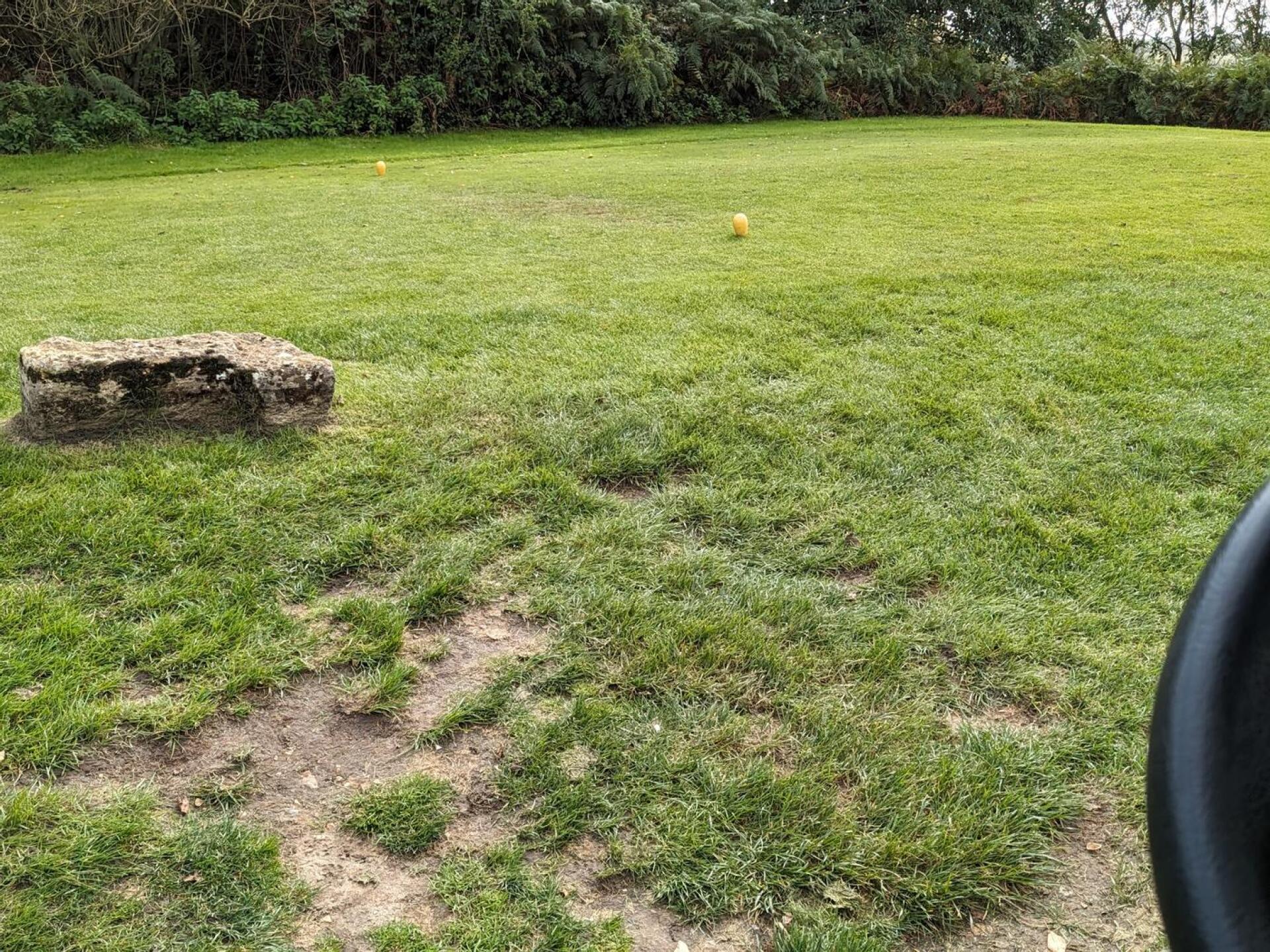 (Photo submitted by u454909756 on 02/08/2024)