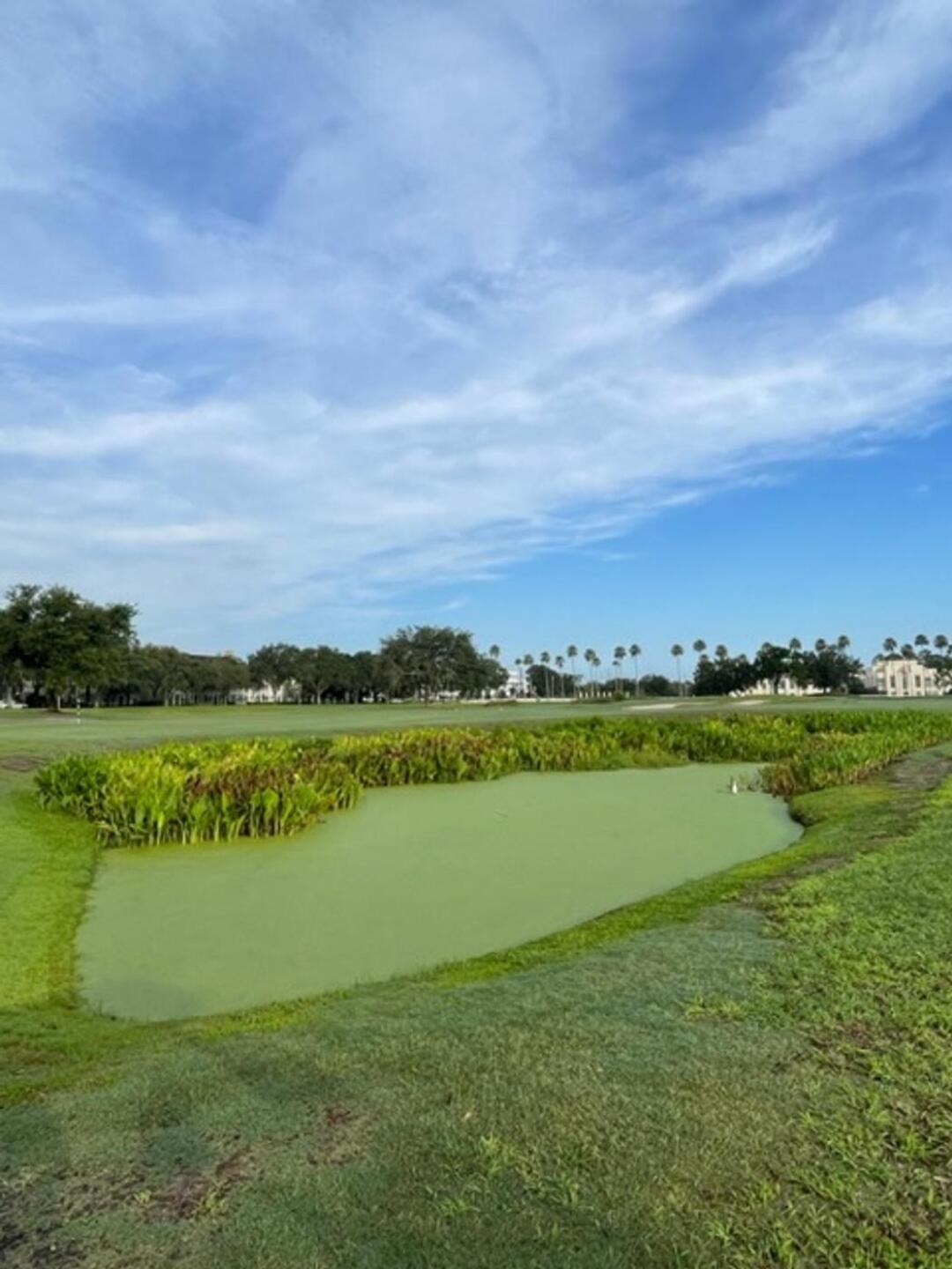 (Photo submitted by kevindumandan on 06/26/2023)