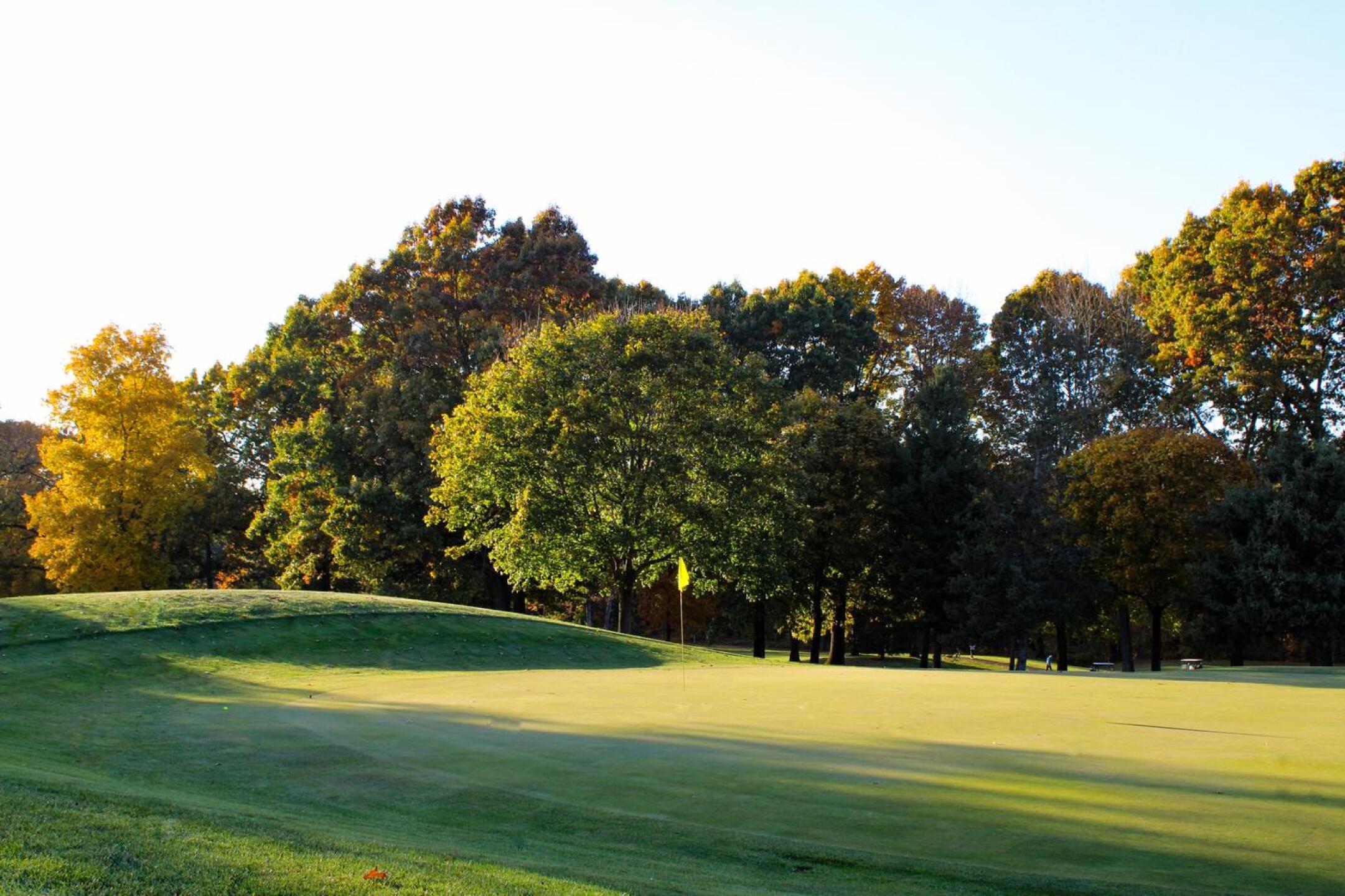 The eighth: The #18 index, but still a decent challenge if you’d like a birdie. (Photo submitted by AptlyLinked on 10/25/2024)