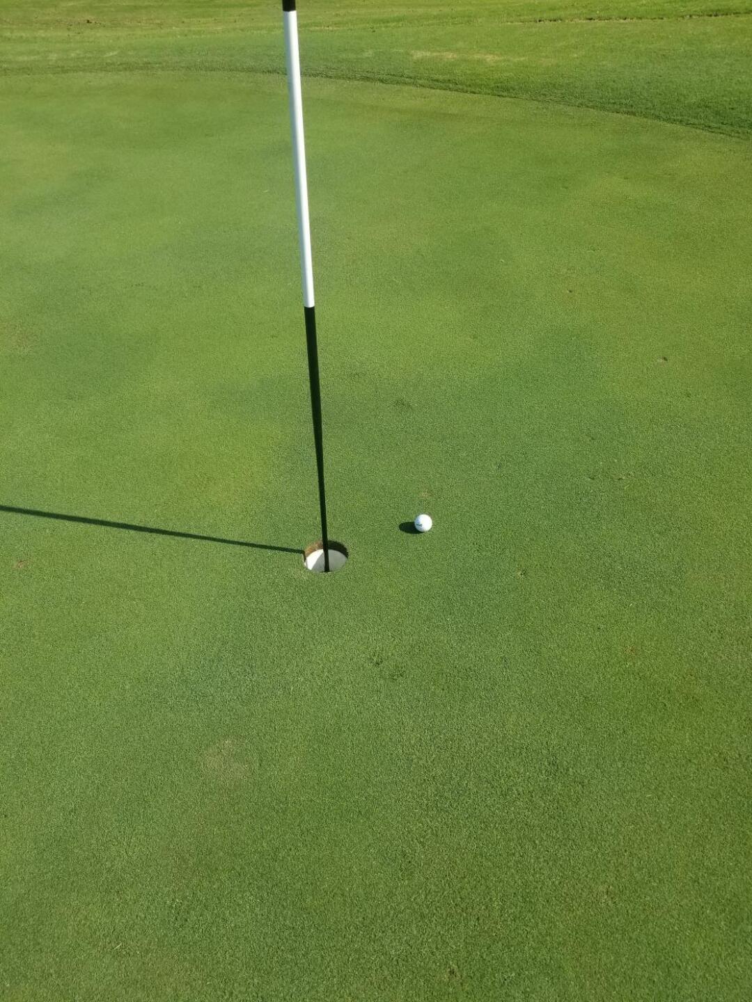 Green (Photo submitted by ShortKnocker1 on 09/21/2019)