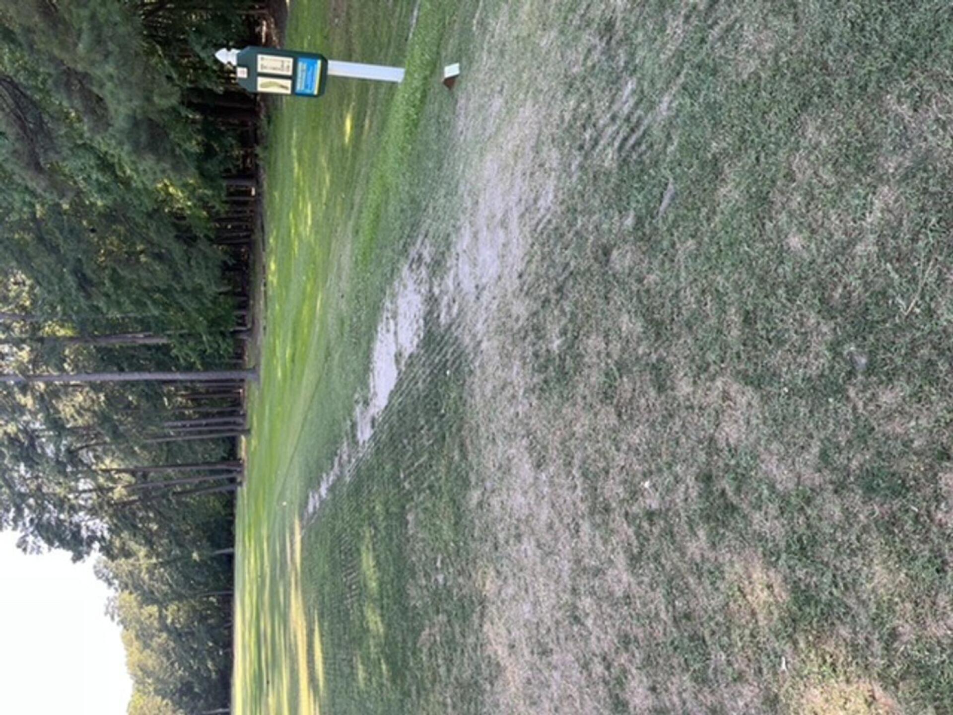 (Photo submitted by u072754598 on 06/21/2022)