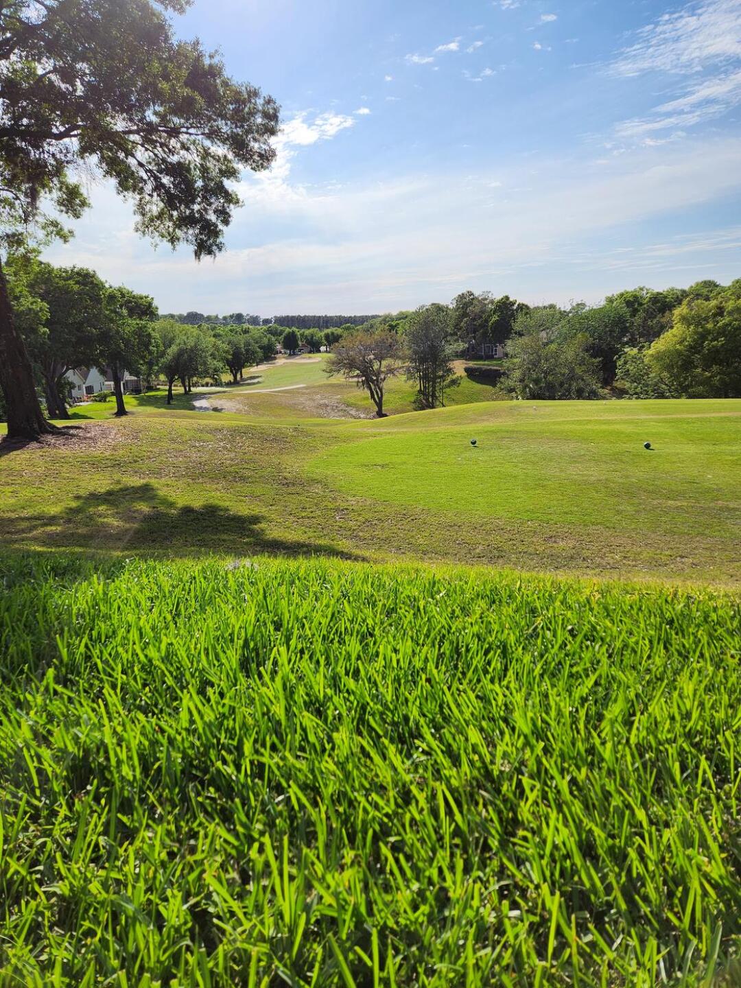 (Photo submitted by uYEMH9394YE on 03/20/2023)