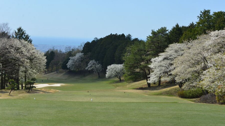 Grand Fields CC