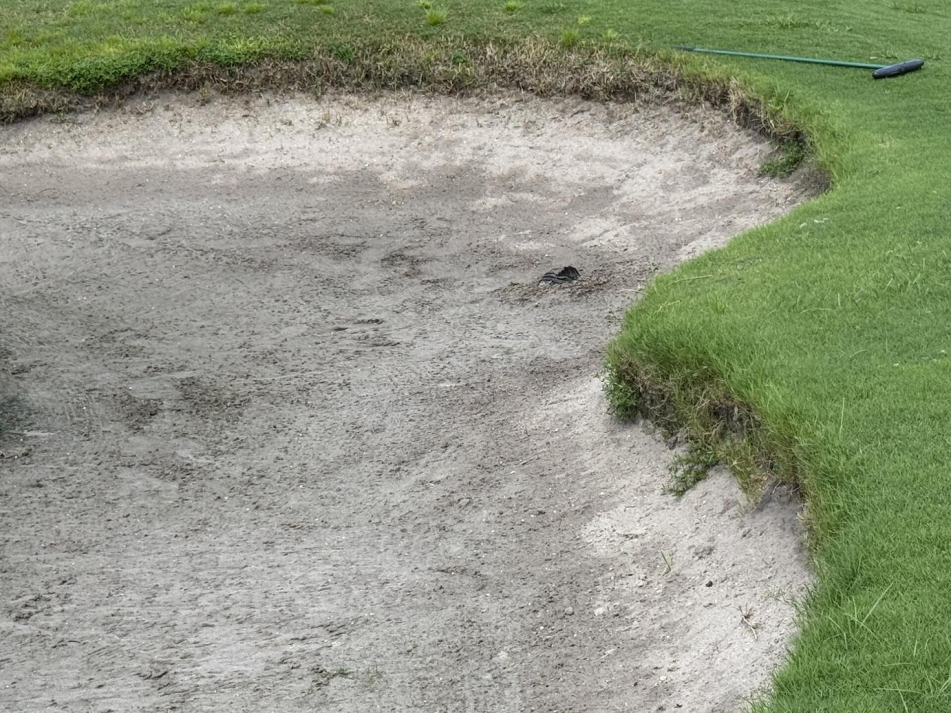 Drain pipe is expose in sand traps (Photo submitted by u314162272459 on 09/09/2026)