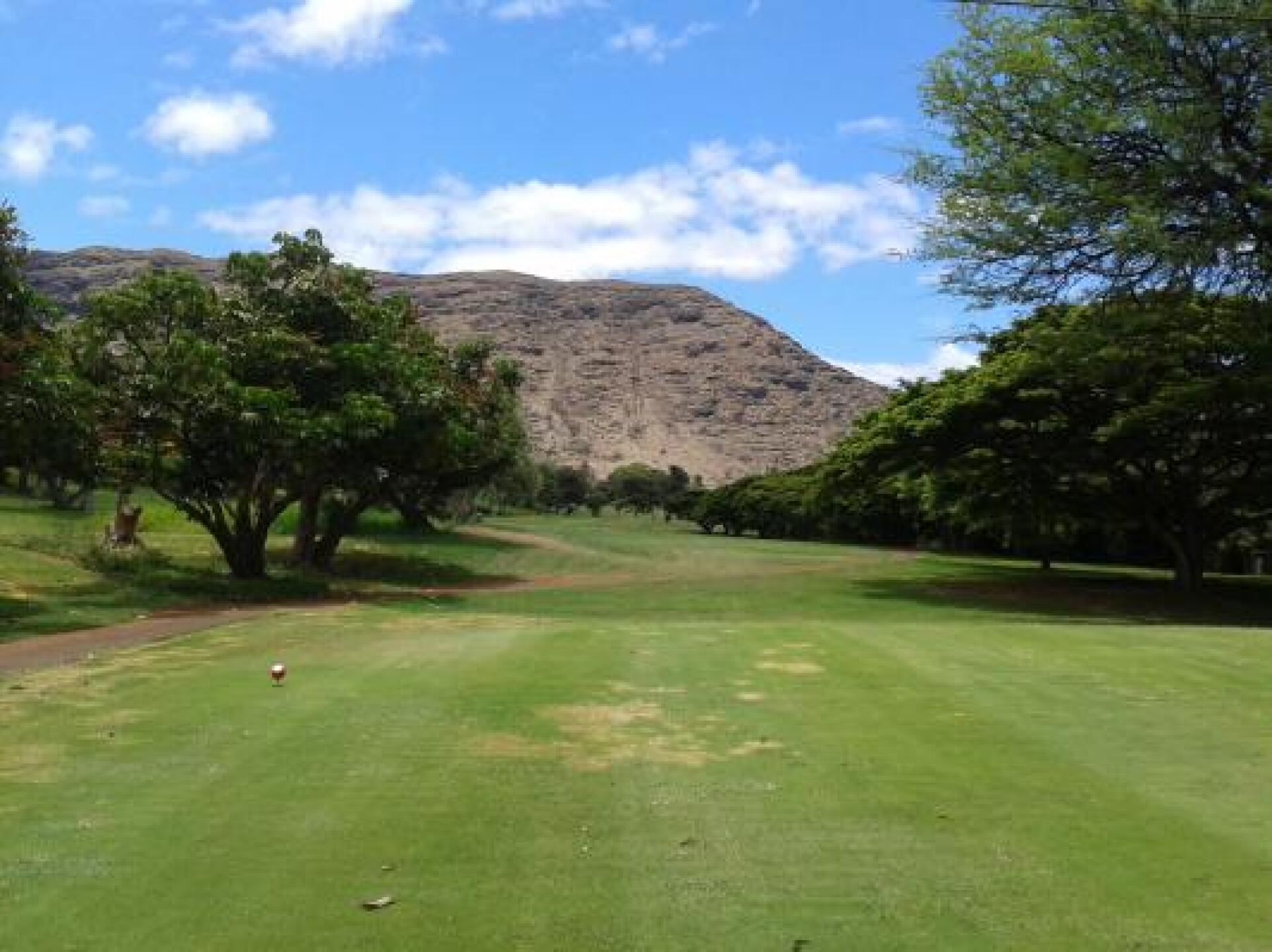 (Photo submitted by icehouse2828 on 08/03/2014)